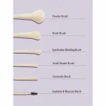 ست براش ۶ تکه شیگلم Sheglam Pro Core