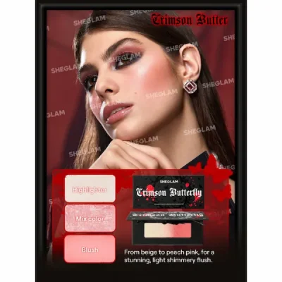رژگونه و هایلایتر پروانه ای شیگلم