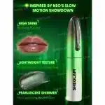 ست ماتریکس شیگلم