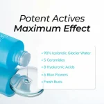 تونر گلیشیری یخچال شاویک سی‌پور‌ی