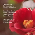 سرم کلاژن ساز و تقویت سد دفاعی آلتیمیون شیسیدو Shiseido