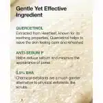 فوم شستشو لایه بردار Heartleaf + BHA آنوا Anua