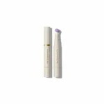 complexion boost color correcting concealer Sheglam
